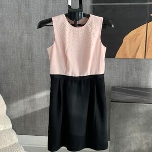 LOFT Blush and Black Dress 4P